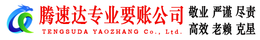 泰和清债公司